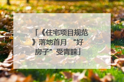 《住宅项目规范》落地首月 “好房子”受青睐