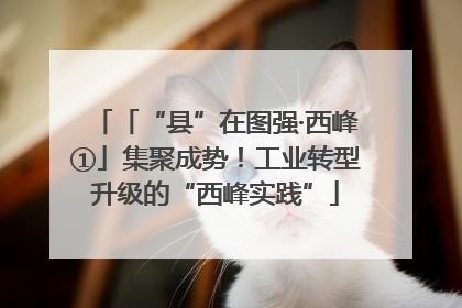 「“县”在图强·西峰①」集聚成势！工业转型升级的“西峰实践”