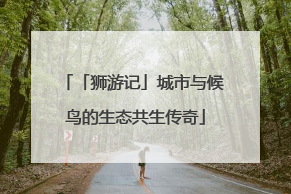 「狮游记」城市与候鸟的生态共生传奇