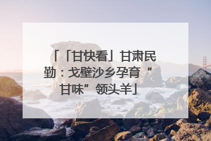 「甘快看」甘肃民勤：戈壁沙乡孕育“甘味”领头羊