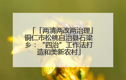 「两清两改两治理」铜仁市松桃自治县石梁乡：“四治”工作法打造和美新农村