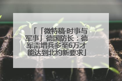 「微特稿·时事与军事」德国防长：德军需增兵多至6万才能达到北约新要求