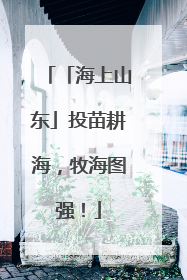 「海上山东」投苗耕海，牧海图强！