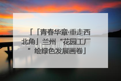 「青春华章·重走西北角」兰州“花园工厂”绘绿色发展画卷