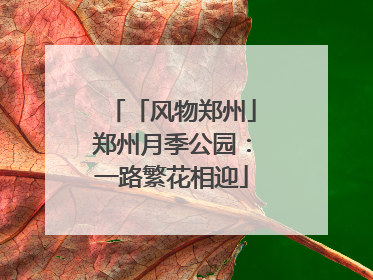 「风物郑州」郑州月季公园：一路繁花相迎