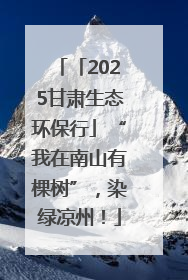 「2025甘肃生态环保行」“我在南山有棵树”，染绿凉州！