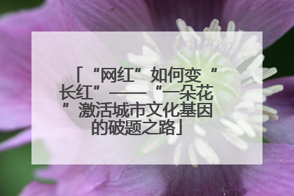 “网红”如何变“长红”——“一朵花”激活城市文化基因的破题之路