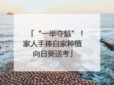 “一举夺魁”！家人手捧自家种植向日葵送考