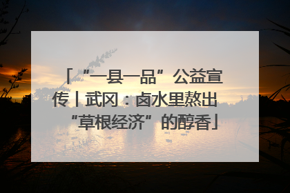 “一县一品”公益宣传丨武冈：卤水里熬出“草根经济”的醇香