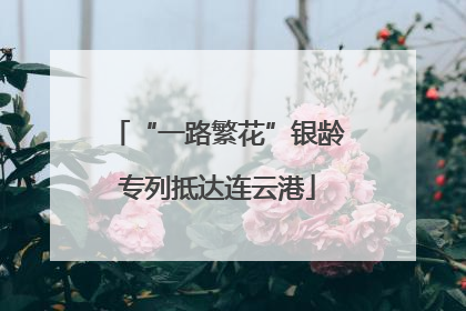 “一路繁花”银龄专列抵达连云港