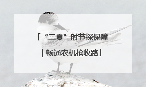 “三夏”时节探保障｜畅通农机抢收路