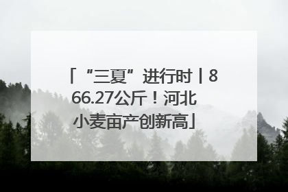 “三夏”进行时丨866.27公斤！河北小麦亩产创新高