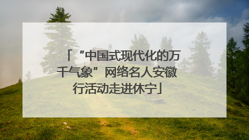 “中国式现代化的万千气象”网络名人安徽行活动走进休宁