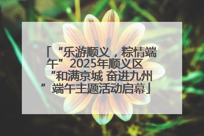 “乐游顺义，粽情端午”2025年顺义区“和满京城 奋进九州”端午主题活动启幕