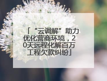 “云调解”助力优化营商环境，20天远程化解百万工程欠款纠纷