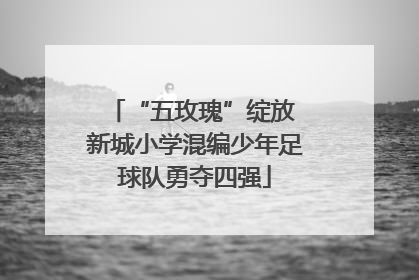 “五玫瑰”绽放 新城小学混编少年足球队勇夺四强