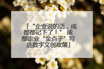 “企业说的话，成都都记下了！” 成都企业“金点子”写进数字文创政策