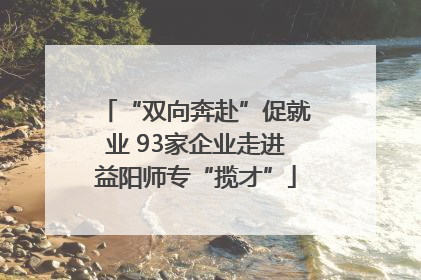 “双向奔赴”促就业 93家企业走进益阳师专“揽才”