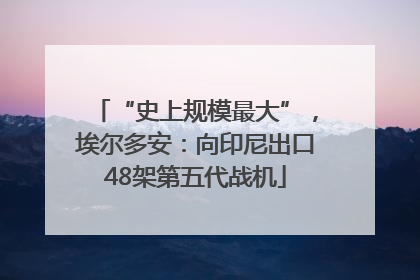 “史上规模最大”，埃尔多安：向印尼出口48架第五代战机