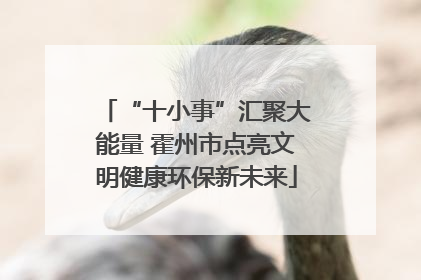 “十小事”汇聚大能量 霍州市点亮文明健康环保新未来
