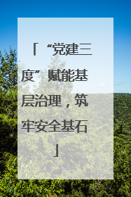 “党建三度”赋能基层治理，筑牢安全基石