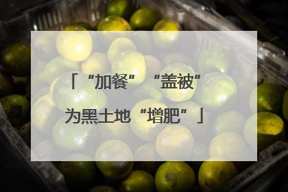 “加餐”“盖被” 为黑土地“增肥”
