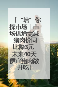 “培”你探市场｜市场供增需减 猪肉价同比降3元 未来40天便宜猪肉敞开吃