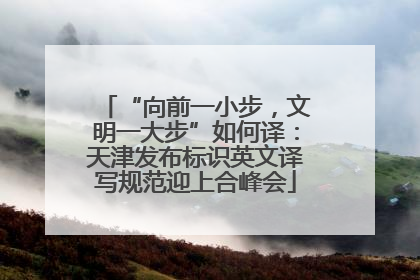 “向前一小步，文明一大步”如何译：天津发布标识英文译写规范迎上合峰会