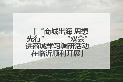 “商城出海 思想先行”——“双会”进商城学习调研活动在临沂顺利开展