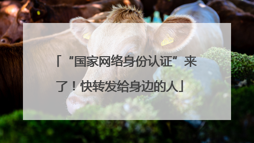 “国家网络身份认证”来了！快转发给身边的人