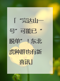 “完达山一号”可能已“脱单”！东北虎种群也有新喜讯