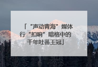 “声动青海”媒体行“扣响”暗格中的千年吐蕃王冠