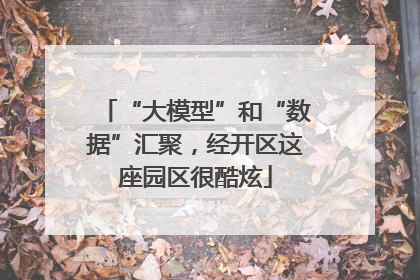 “大模型”和“数据”汇聚，经开区这座园区很酷炫