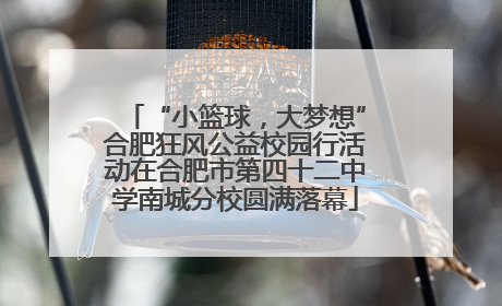 “小篮球，大梦想”合肥狂风公益校园行活动在合肥市第四十二中学南城分校圆满落幕