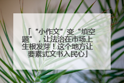 “小作文”变“填空题”，让法治在市场上生根发芽！这个地方让要素式文书入民心