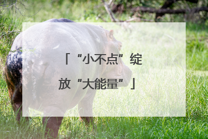“小不点”绽放“大能量”