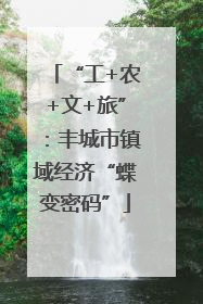 “工+农+文+旅”：丰城市镇域经济“蝶变密码”