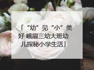 “幼”见“小”美好 峨眉三幼大班幼儿探秘小学生活