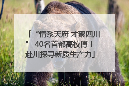 “情系天府 才聚四川” 40名首都高校博士赴川探寻新质生产力