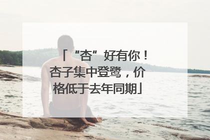 “杏”好有你！杏子集中登鹭，价格低于去年同期