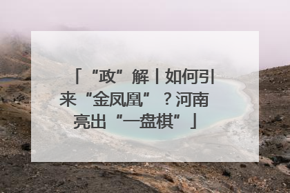 “政”解丨如何引来“金凤凰”？河南亮出“一盘棋”