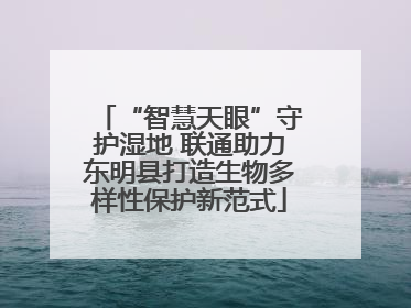 “智慧天眼”守护湿地 联通助力东明县打造生物多样性保护新范式