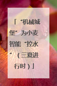 “机械城堡”为小麦智能“控水”（三夏进行时）