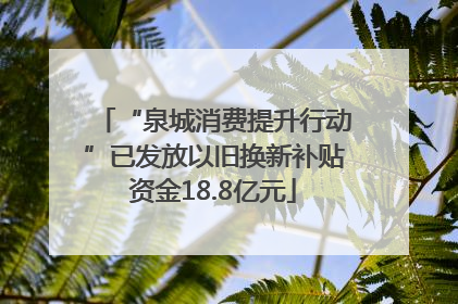 “泉城消费提升行动”已发放以旧换新补贴资金18.8亿元