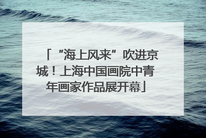 “海上风来”吹进京城！上海中国画院中青年画家作品展开幕