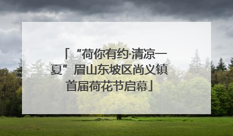 “荷你有约·清凉一夏”眉山东坡区尚义镇首届荷花节启幕