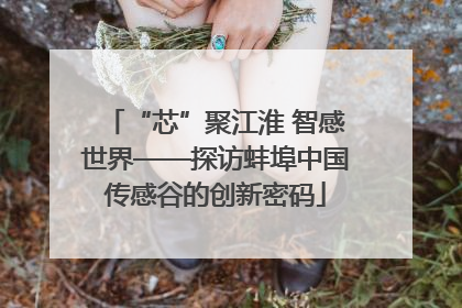 “芯”聚江淮 智感世界——探访蚌埠中国传感谷的创新密码