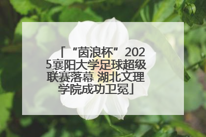 “茵浪杯”2025襄阳大学足球超级联赛落幕 湖北文理学院成功卫冕
