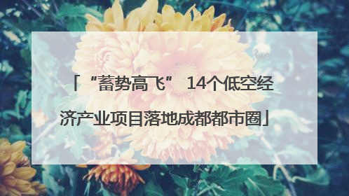 “蓄势高飞” 14个低空经济产业项目落地成都都市圈