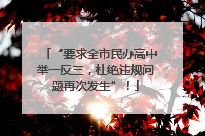 “要求全市民办高中举一反三，杜绝违规问题再次发生”！